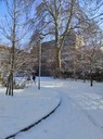 Campus sous la neige 2024 (18).jpg