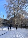Campus sous la neige 2024 (3).jpg